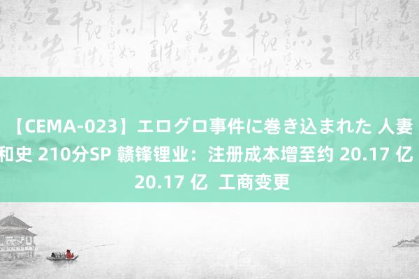 【CEMA-023】エログロ事件に巻き込まれた 人妻たちの昭和史 210分SP 赣锋锂业：注册成本增至约 20.17 亿  工商变更