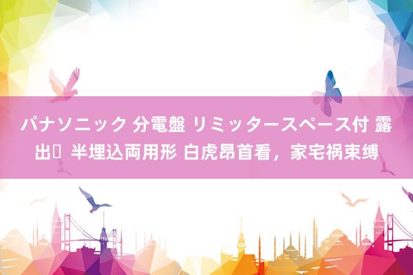 パナソニック 分電盤 リミッタースペース付 露出・半埋込両用形 白虎昂首看，家宅祸束缚