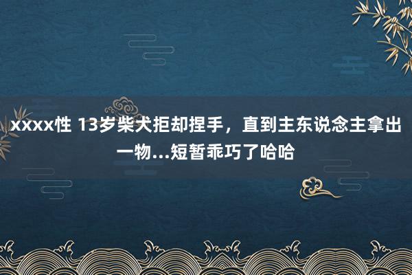 xxxx性 13岁柴犬拒却捏手，直到主东说念主拿出一物...短暂乖巧了哈哈