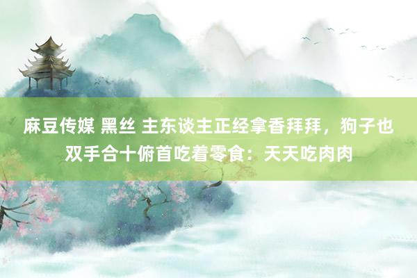 麻豆传媒 黑丝 主东谈主正经拿香拜拜，狗子也双手合十俯首吃着零食：天天吃肉肉