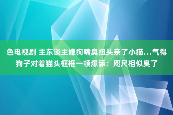 色电视剧 主东谈主嫌狗嘴臭扭头亲了小猫…气得狗子对着猫头框框一顿爆舔：咫尺相似臭了