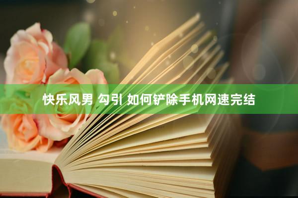 快乐风男 勾引 如何铲除手机网速完结