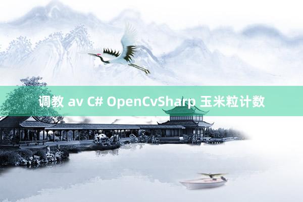 调教 av C# OpenCvSharp 玉米粒计数