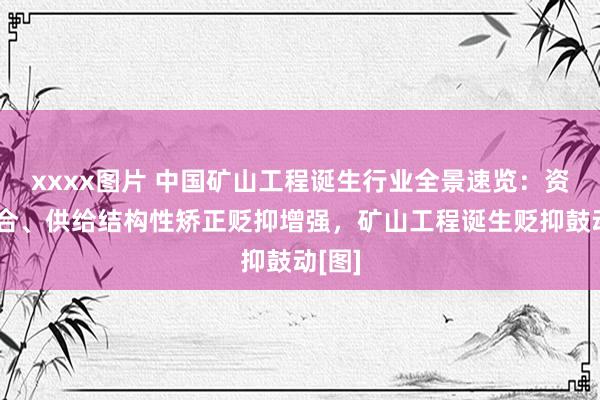 xxxx图片 中国矿山工程诞生行业全景速览：资源整合、供给结构性矫正贬抑增强，矿山工程诞生贬抑鼓动[图]