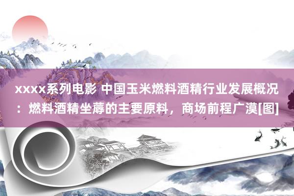 xxxx系列电影 中国玉米燃料酒精行业发展概况：燃料酒精坐蓐的主要原料，商场前程广漠[图]