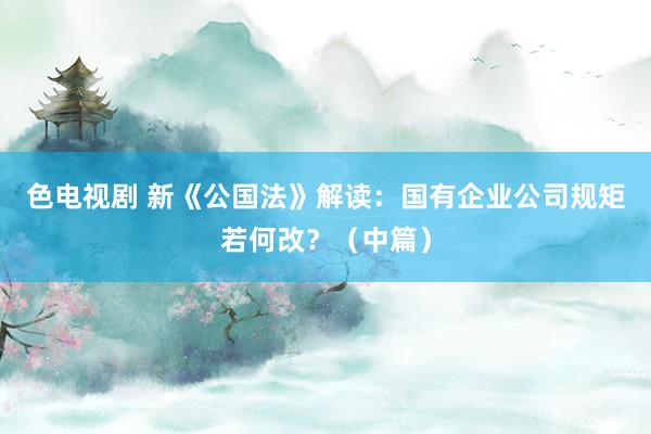 色电视剧 新《公国法》解读：国有企业公司规矩若何改？（中篇）