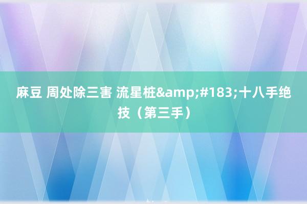 麻豆 周处除三害 流星桩&#183;十八手绝技（第三手）